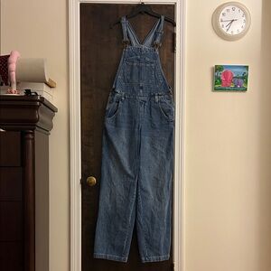 Wild Fable Overalls